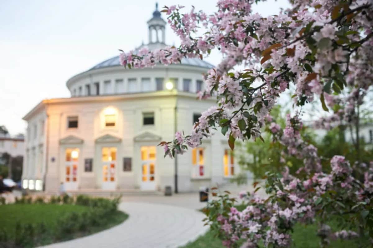 Czy notariusz zawiadamia sąd o odrzuceniu spadku? Sprawdź, co musisz wiedzieć